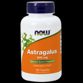 Astragale astragale 500 MG 100 gélules NOW FOODS